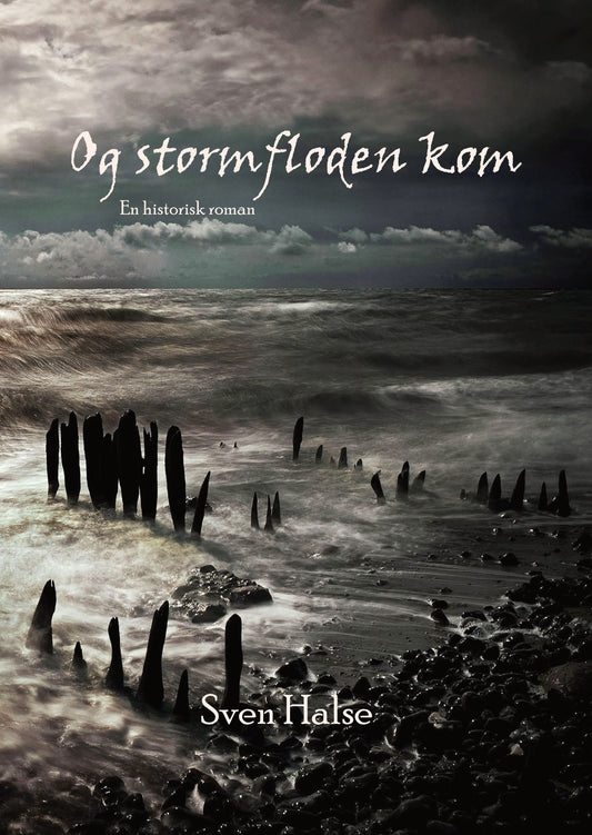 Forside til Og stormfloden kom – en historisk roman